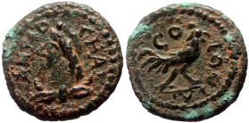 Pisidia, Antioch AE (Bronze, 1.60g, 13mm) ca 0-100.
Obv: ANTIO-CHAE; draped bust of Mên to left, wearing Phrygian cap 
Rev: CO-LONIA; rooster to right...