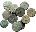 12 Ancient AE (Bronze, 92.02g)