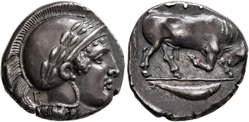 LUCANIA. Thourioi. Circa 443-400 BC. Stater (Silver, 18 mm, 7.22 g, 1 h). Head o...