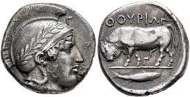 LUCANIA. Thourioi. Circa 443-400 BC. Stater (Silver, 20 mm, 7.93 g, 3 h). Head of Athena to right, wearing crested and laureate Attic helmet; above vi...