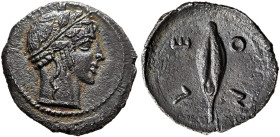 SICILY. Leontini. Circa 466-460 BC. Litra (Silver, 11.5 mm, 0.57 g, 1 h). Laureate head of Apollo to right. Rev. ΛE-ON Barley grain. Boehringer, Münzg...
