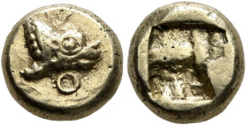 IONIA. Phokaia. Circa 625/0-522 BC. Hekte (Electrum, 9 mm, 2.16 g, 1 h). Forepart of a seal to right; below, annulet. Rev. Incuse square punch. Bodens...