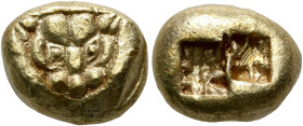 IONIA. Uncertain. Circa 600-550 BC. Trite (Electrum, 12 mm, 4.73 g), Lydo-Milesian standard. Facing head of a lioness (or panther) within triangular i...