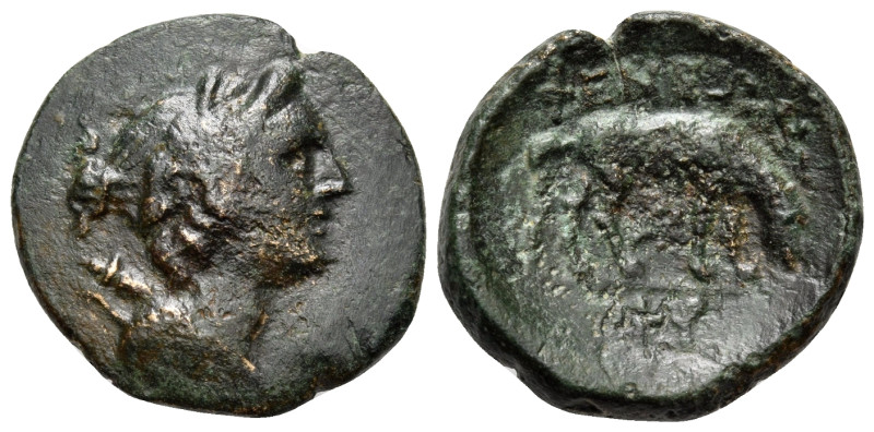 ARKADIA. Pheneos. Circa 300-240 BC. Dichalkon (Bronze, 18 mm, 3.70 g, 12 h). Lau...
