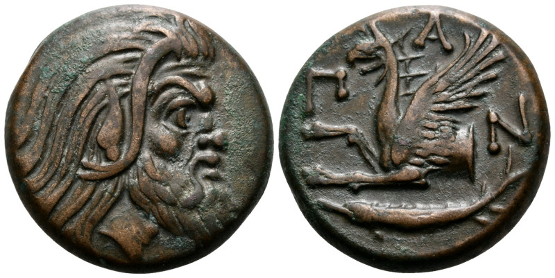 CIMMERIAN BOSPOROS. Pantikapaion. Circa 310-304/3 BC. Tetrachalkon (Bronze, 20 m...