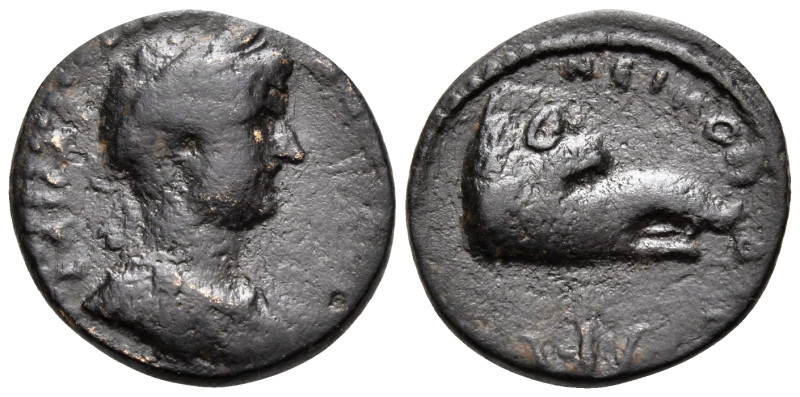 EPIRUS. Nicopolis. Hadrian, 117-138. (Bronze, 18 mm, 3.05 g, 6 h). ΚΑΙCΑΡ ΑΔΡΙΑΝ...