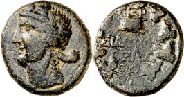 (49-50 d.C.). Fenicia. Sidón. AE 18. (S. GIC. falta) (RPC. I, 4584). Acuñada en tiempos de Claudio. 6,35 g. MBC.