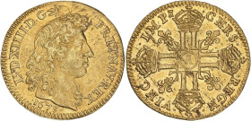 Louis XIV - Louis d'or à la tête nue 1673 A (Paris)

Or - 6,75 grs - 24 mm
G.247
TTB/SUP

Superbe revers très légèrement paillé.