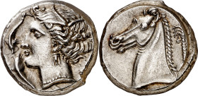 (320-300 a.C.). Sicilia. Entella. Tetradracma. (S. 6435 var, de Cartago) (CNG. II, 284). Muy bella. Ex CGB 14/10/2010, nº 25. 17,10 g. EBC+.

(320-3...