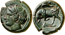 (317-310 a.C.). Sicilia. Siracusa. AE 23. (S. 1195 var) (CNG. II, 1444). Acuñada bajo Agatocles. Pátina verde. Ex CGB 30/06/2011, nº 92. 10,21 g. MBC+...