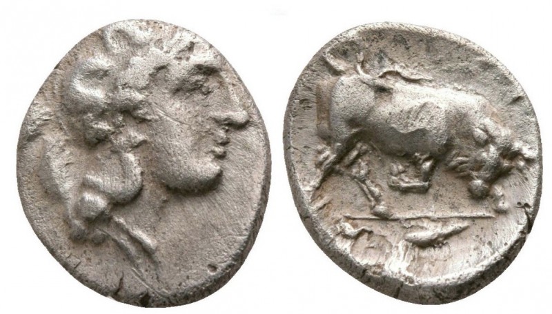 Lucania, Thourioi, 400 - 350 BC
Silver Triobol, 11mm, 1.34 grams
Obverse: Helm...
