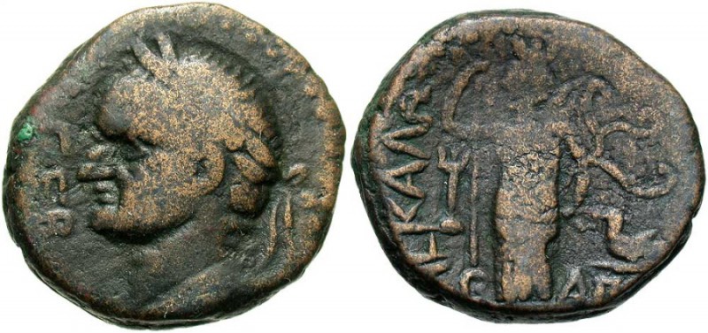 Vespasian, 69 - 79 AD AE24, Judaea, Ascalon Mint, 12.99 grams Obverse: Laureate ...