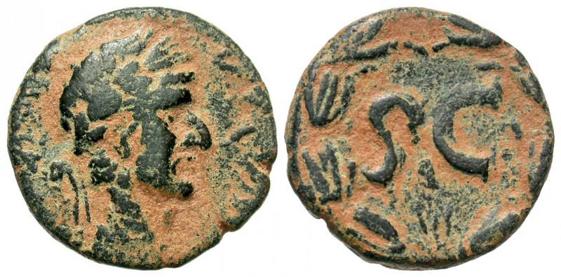 Nerva, 96 - 98 AD
AE As, Syria, Seleucis & Pieria Mint, 27mm, 10.92 grams
Obve...