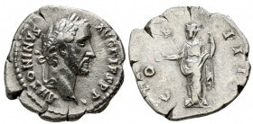 Antoninus Pius, 138 - 161 AD, Silver Denarius, Concordia