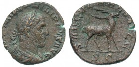 Philip I, 238 - 244 AD, AE Sestertius, Stag