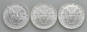 USA - Dollaro "American Silver Eagle" 1989, 1990, 1991 - KM 273 Ag Insieme di tre monete

Status: FDC
