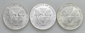 USA - Dollaro "American Silver Eagle" 1992, 1993, 1995 - KM 273 Ag Insieme di tre monete

Status: FDC