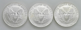 USA - Dollaro "American Silver Eagle" 1996, 1997, 1998 - KM 273 Ag Insieme di tre monete

Status: FDC