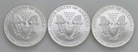 USA - Dollaro "American Silver Eagle" 1999, 2000, 2001 - KM 273 Ag Insieme di tre monete

Status: FDC