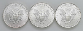 USA - Dollaro "American Silver Eagle" 2008, 2009, 2010 - KM 273 Ag Insieme di tre monete

Status: FDC