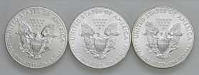 USA - Dollaro "American Silver Eagle" 2011, 2012, 2013 - KM 273 Ag Insieme di tre monete

Status: FDC