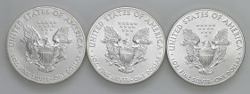 USA - Dollaro "American Silver Eagle" 2014, 2015, 2016 - KM 273 Ag Insieme di tre monete

Status: FDC