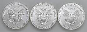 USA - Dollaro "American Silver Eagle" 2017, 2018, 2019 - KM 273 Ag Insieme di tre monete

Status: FDC