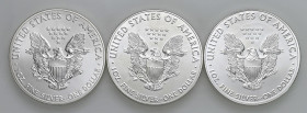 USA - Dollaro "American Silver Eagle" 2015, 2020, 2021 - KM 273 Ag Insieme di tre monete

Status: FDC