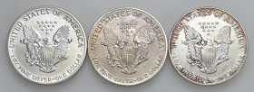 USA - Dollaro "American Silver Eagle" 1989, 1990, 1993 - KM 273 Ag Insieme di tre monete

Status: FDC