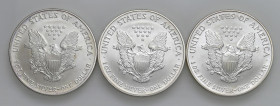 USA - Dollaro "American Silver Eagle" 2003, 2005, 2006 - KM 273 Ag Insieme di tre monete

Status: FDC