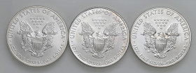 USA - Dollaro "American Silver Eagle" 2009, 2010, 2011 - KM 273 Ag Insieme di tre monete

Status: FDC