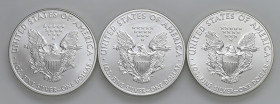 USA - Dollaro "American Silver Eagle" 2010, 2011, 2013 - KM 273 Ag Insieme di tre monete

Status: FDC