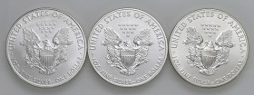USA - Dollaro "American Silver Eagle" 2010, 2011, 2013 - KM 273 Ag Insieme di tre monete

Status: FDC