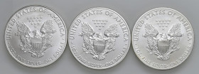 USA - Dollaro "American Silver Eagle" 2010, 2011, 2014 - KM 273 Ag Insieme di tre monete

Status: FDC