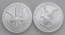 USA - Dollaro "American Silver Eagle" 2021, 2022 - KM 273 Ag Insieme di due monete

Status: FDC