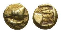 Mysia, Kyzikos. El Hemihekte, 1.36 g 7.80 mm. Circa 600-550 BC.
Obv: Head of tunny fish left, jaws closed, backbone protruding from truncation at righ...