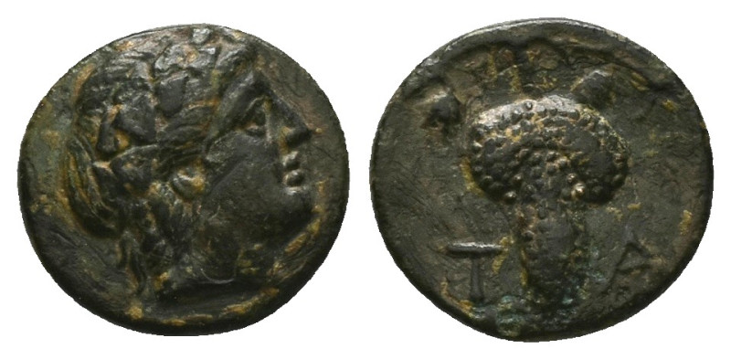 Aeolis, Temnos. Ae, 3.85 g 17.38 mm. 3rd century BC. 
Obv: Head of Dionysos righ...