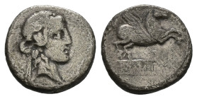 Q. Titus, 90 BC. AR, Denarius. 3.63 g. 16.78 mm. Rome.
Obv: Head of Liber, right, wearing ivy-wreath.
Rev: Q·TITI. Pegasus, right; below, in linear fr...