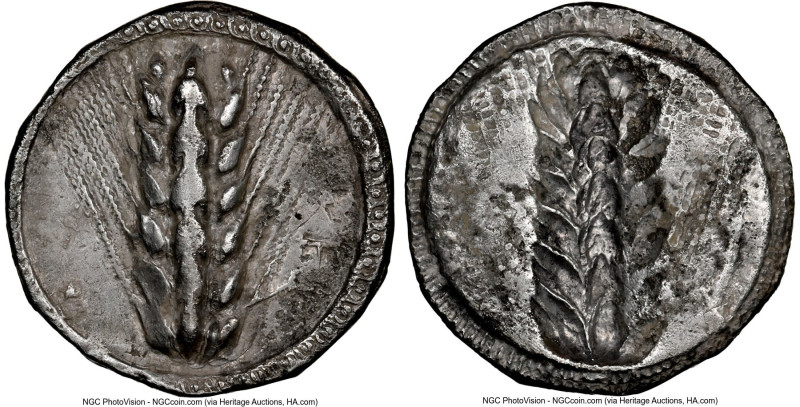 LUCANIA. Metapontum. Ca. 510-470 BC. AR stater (24mm, 12h). NGC Choice VF. META,...