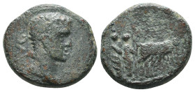 Roman Provincial Coins. Circa. 1st - 3rd Century. Ae.
Reference:
Condition: Very Fine
W :4.9gr
H :16.6mm