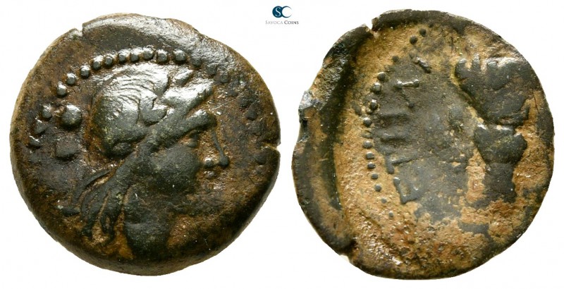 Bruttium. Petelia 300 BC. 
Sextans Æ

14mm., 1,60g.



very fine