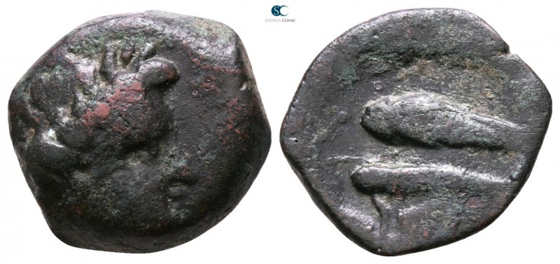 Scythia. Olbia 380-360 BC. 
Bronze Æ

15mm., 2,75g.



nearly very fine