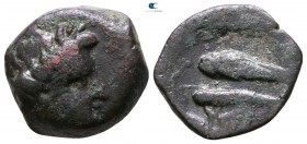 Scythia. Olbia 380-360 BC. Bronze Æ