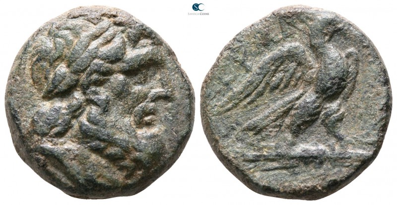 Lydia. Tralleis circa 200-0 BC. 
Bronze Æ

16mm., 6,79g.



very fine