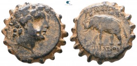 Seleukid Kingdom. Antioch on the Orontes. Antiochos VI Dionysos 144-142 BC. Serrate Æ
