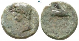 Corinthia. Corinthia. Caligula AD 37-41. Bronze Æ