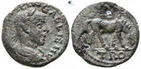 Troas. Alexandreia. Gallienus AD 253-268. Bronze Æ