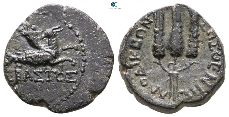 Phrygia. Laodikeia ad Lycum. Augustus 27 BC-AD 14. 
Bronze Æ

14mm., 2,87g.
...