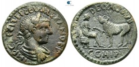 Mysia. Parion. Severus Alexander AD 222-235. Bronze Æ
