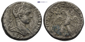 Roman Provincial coin (12.6g 23mm)